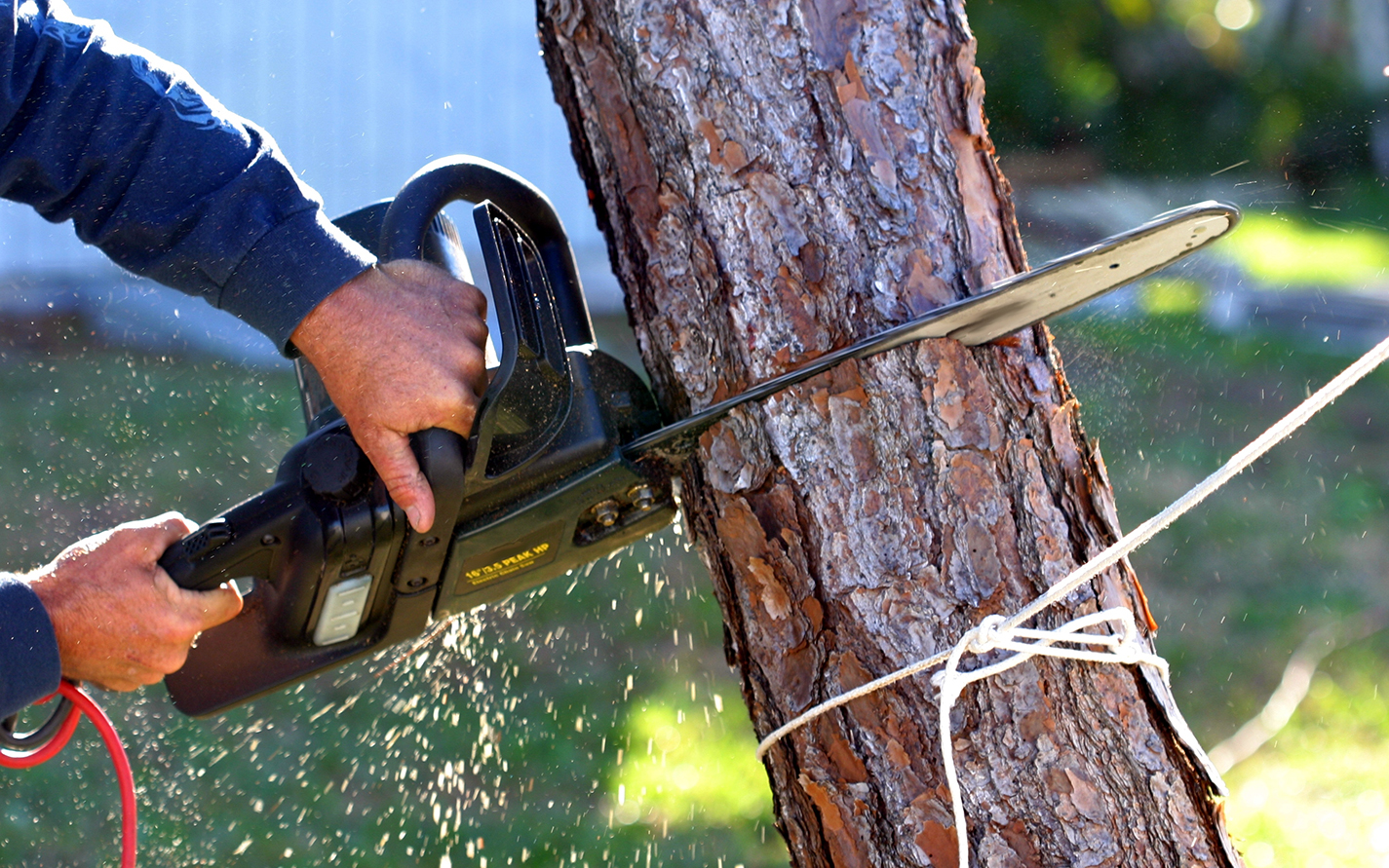 About – ESCOBAR TREE SERVICE & STUMP GRINDER
