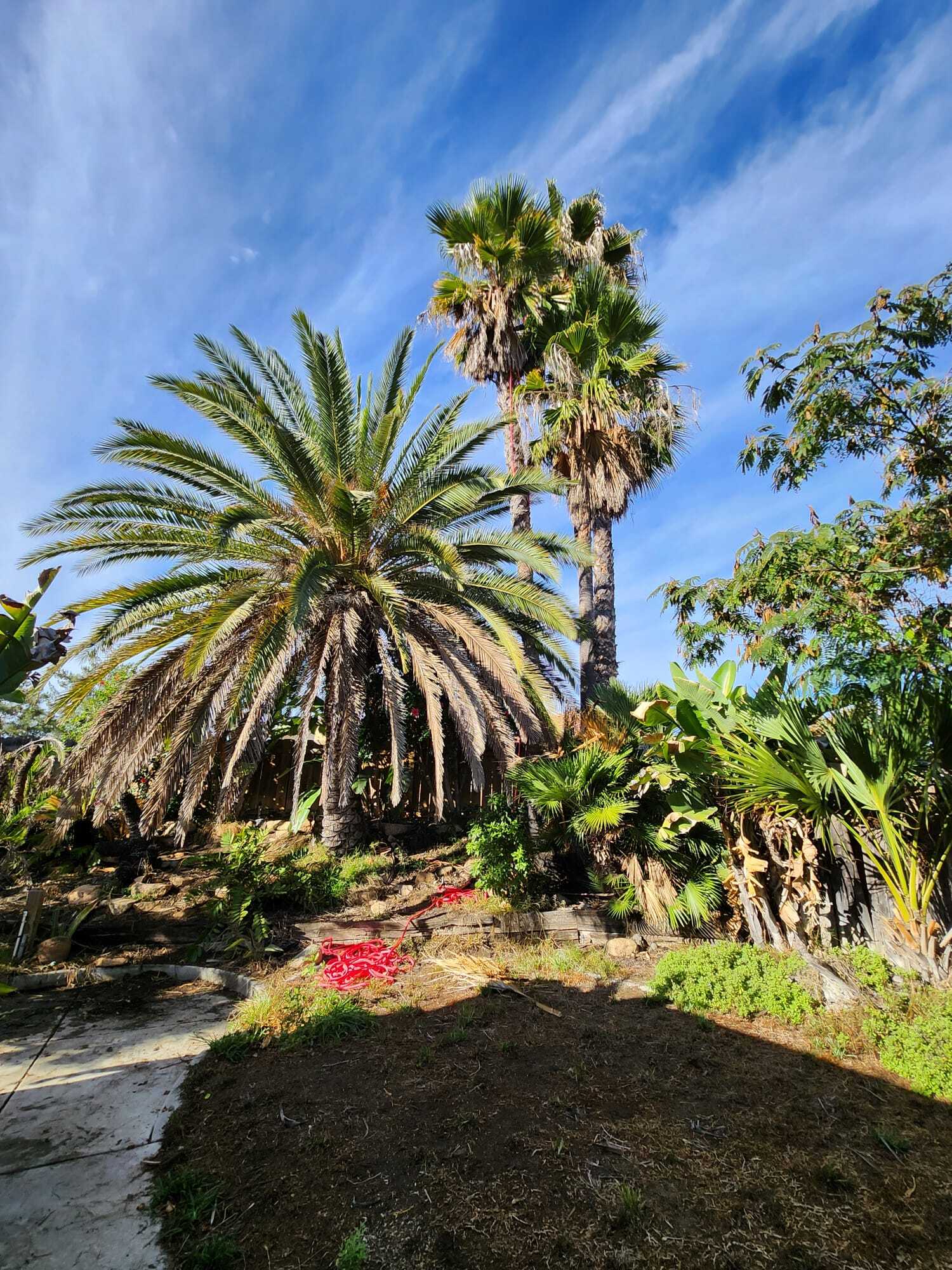 WhatsApp Image 2026-01-08 at 10.13.14 (1)