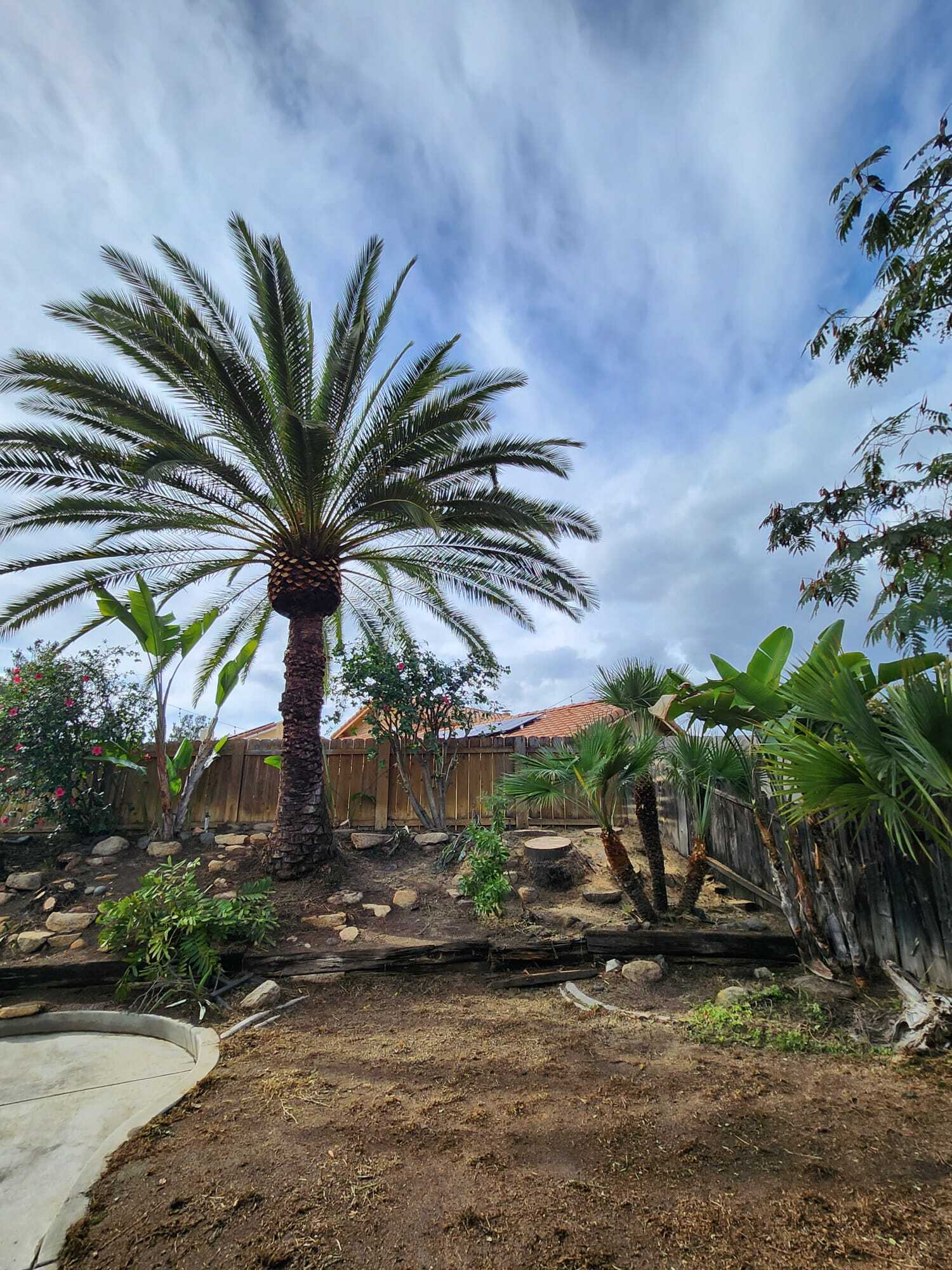 WhatsApp Image 2026-01-08 at 10.13.14 (3)