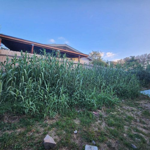 Imagen de WhatsApp 2025-05-22 a las 19.27.10_abe4025a