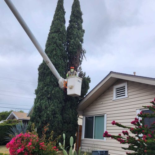 Imagen de WhatsApp 2025-05-31 a las 09.41.50_0e8a84ec