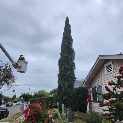 Imagen de WhatsApp 2025-05-31 a las 09.41.50_13e7c4a5