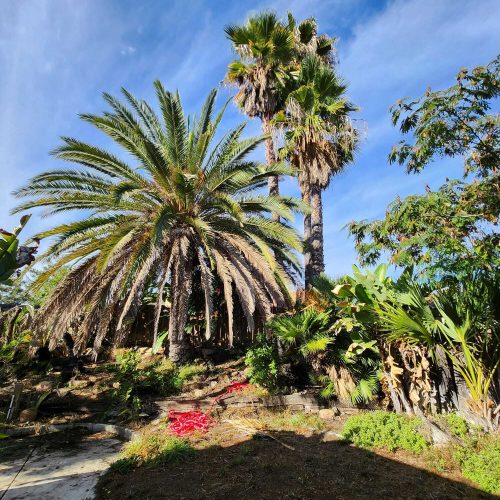 WhatsApp Image 2026-01-08 at 10.13.14 (1)