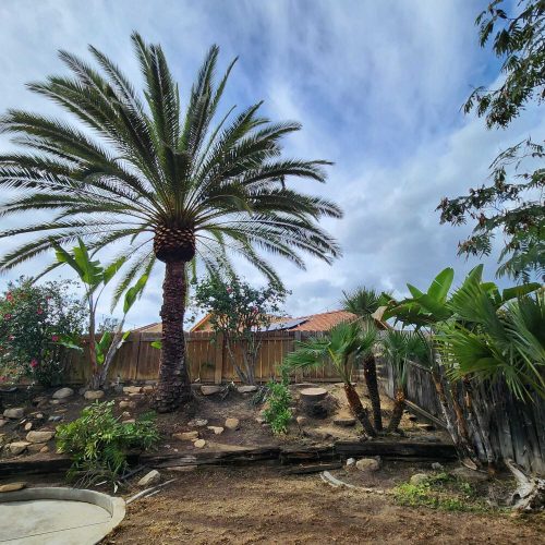 WhatsApp Image 2026-01-08 at 10.13.14 (3)